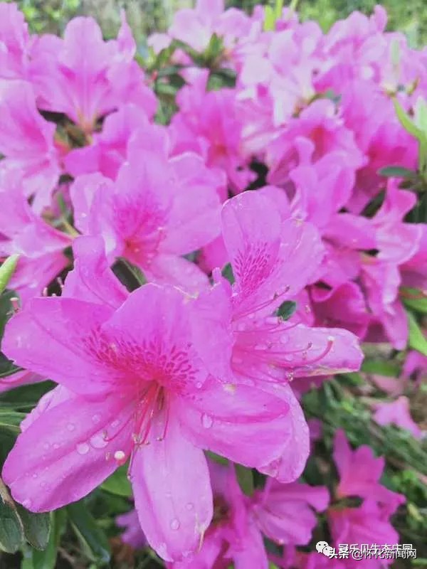 五一怀化亲子游推荐,怀化五一可以带孩子参观的地方