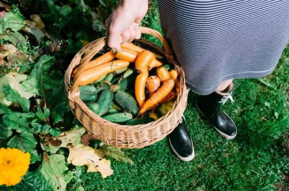 不辜负生活享受完美假期,不辜负生活不辜负假期