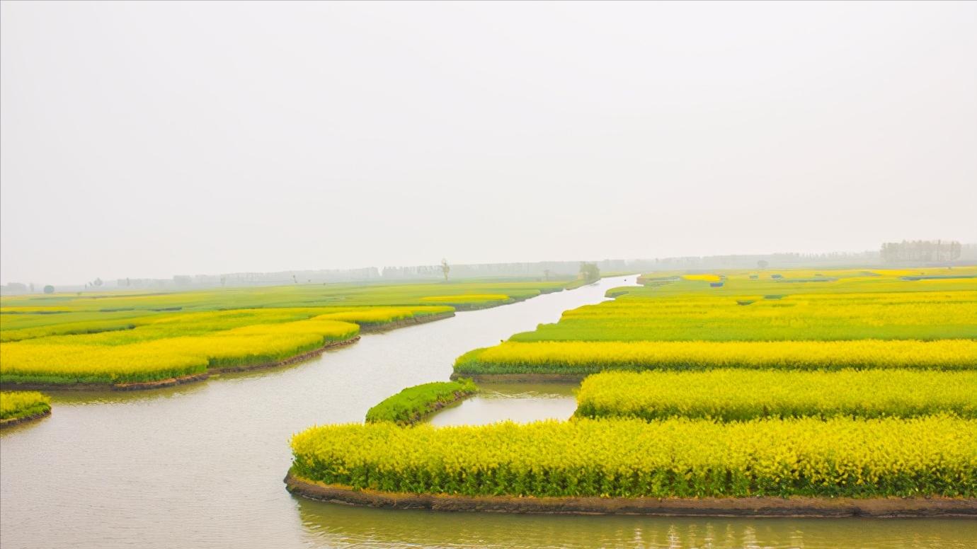 华东江苏篇,浅谈全国各省份