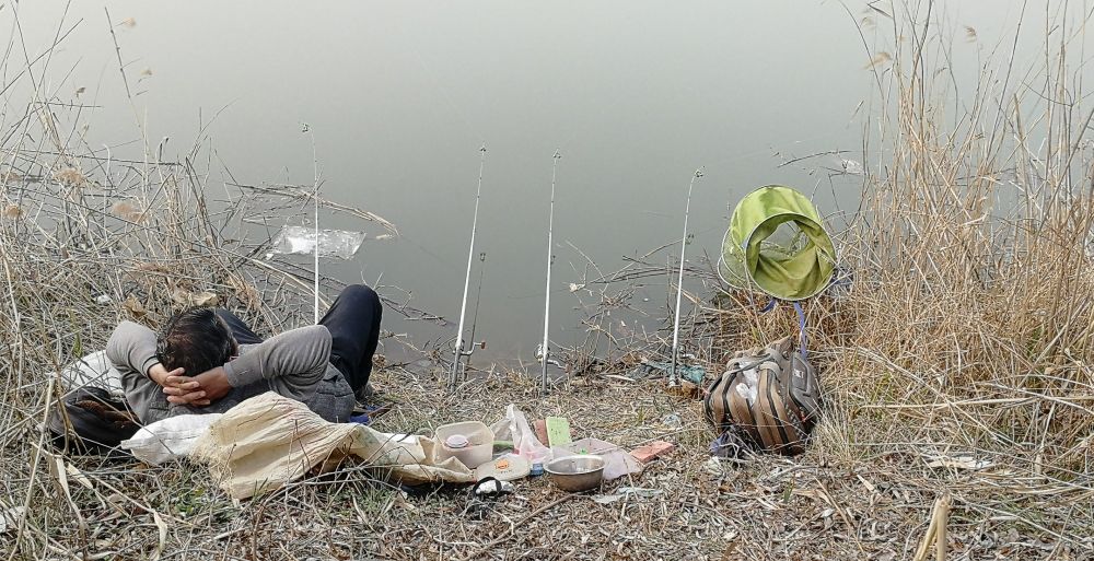 钓鱼人注意了,这六种垂钓行为,四种用饵被纳入监管,禁止使用!
