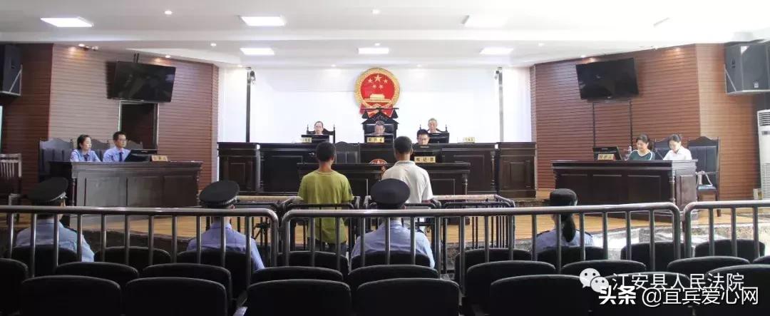 长记性啦，为啥在宜宾不能乱捕泥鳅黄鳝？江安县法院有话说