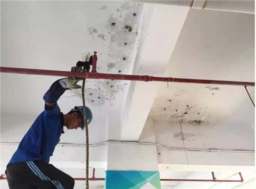 房顶漏水是做防水还是搭彩钢瓦好,房顶漏水怎么贴自粘防水卷材