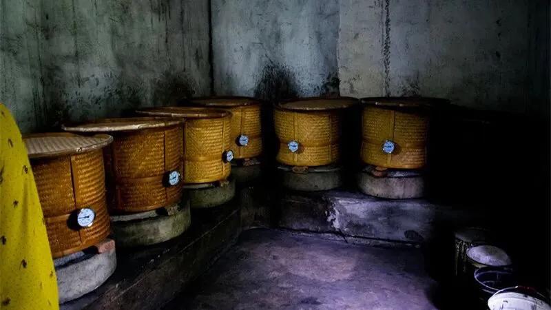 单丛茶晾青工艺,单丛新茶退火