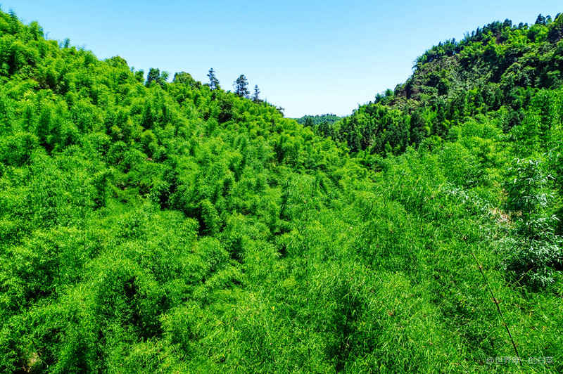 沐川竹海夏天美景,沐川竹海能避暑吗