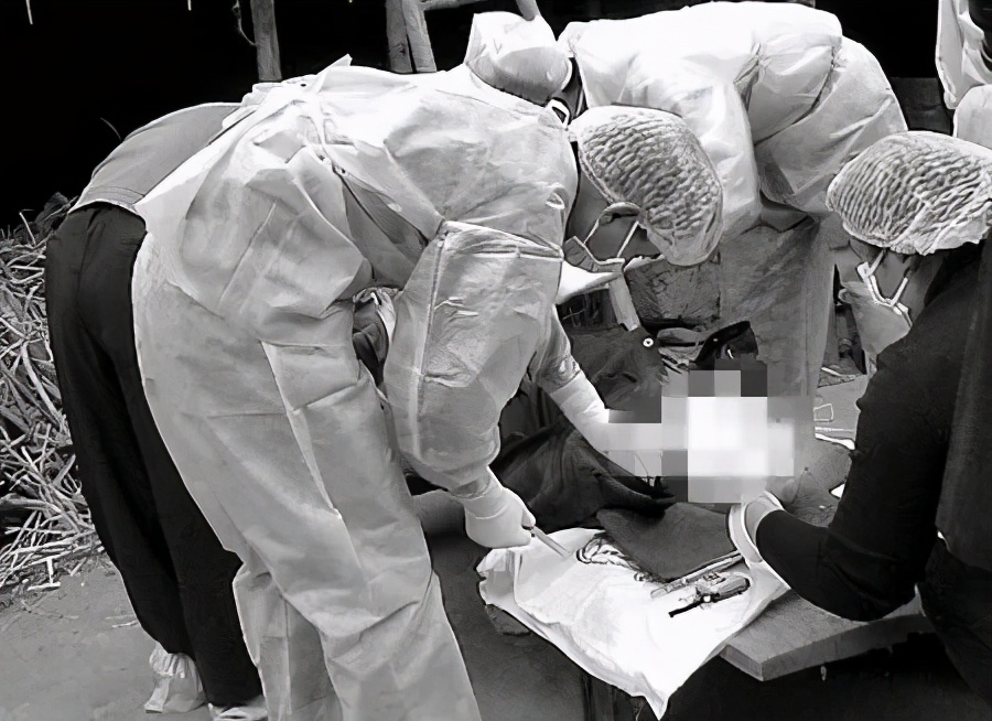 神秘的尸语者,尸语者真相