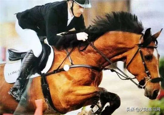 各大马术俱乐部,北京十大马术俱乐部