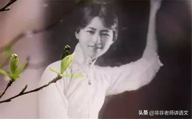 部编版语文九上文学常识归纳,部编版九年级语文背诵诗文