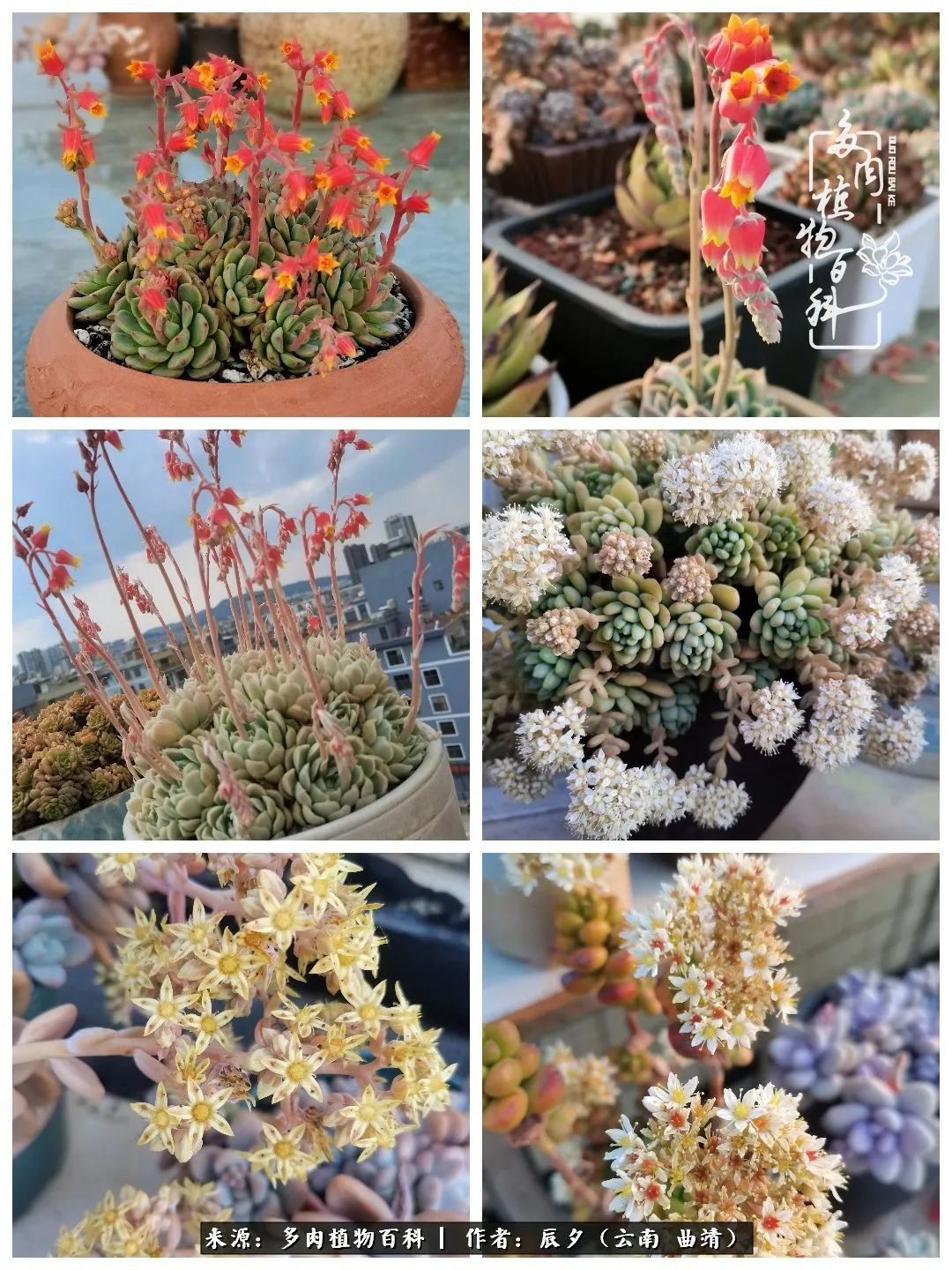 缂辩换鏃栨棊钁宠暏鐢熼,缂辩换鏃栨棊钁宠暏鐢熼鍑哄