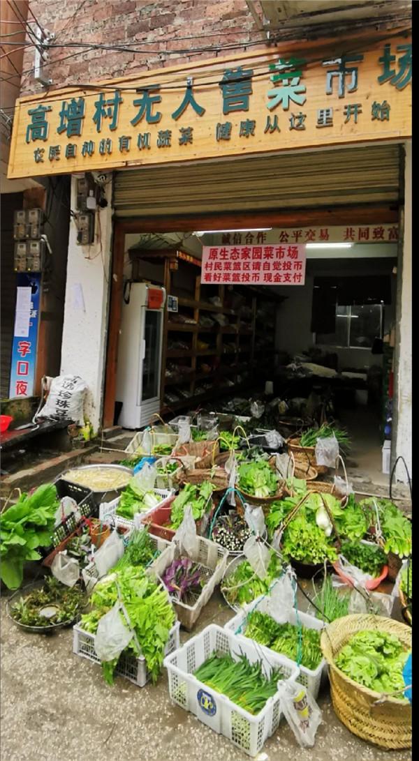 贵州肺炎疫情实时动态最新,抗击肺炎贵州