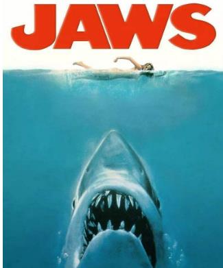 能让大白鲨恐惧的五种海洋生物,凶猛的鲨鱼大白鲨