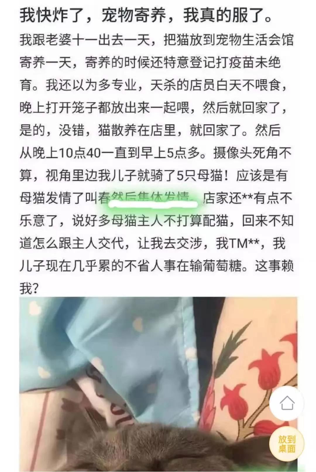 喂猫一个月开销,喂猫一次喂多少