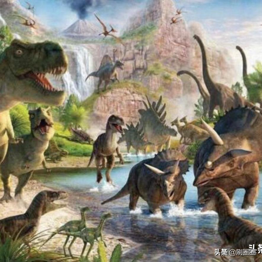 第五单元说明文作文500字五年级,五年级第五单元说明文作文范文