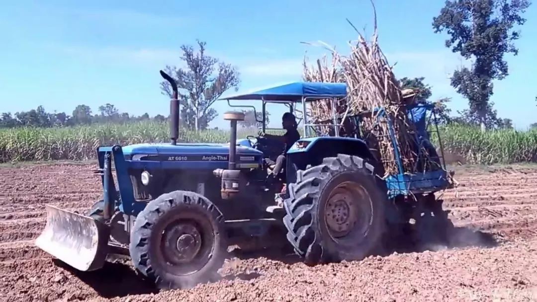 本田在泰国价格,本田在泰国售价