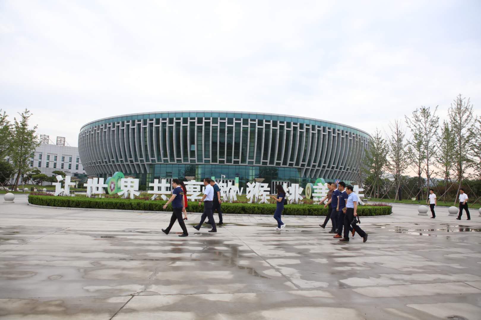 眉县农业猕猴桃,眉县种猕猴桃致富