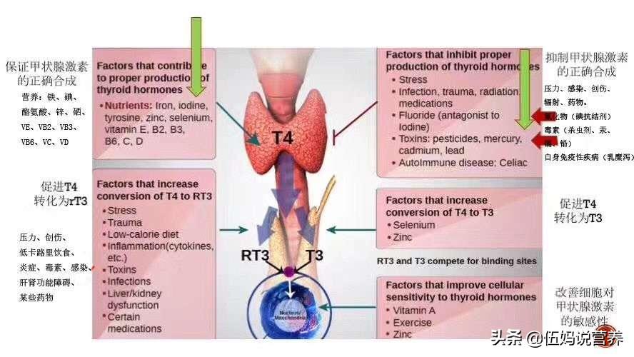 甲状腺要注意什么饮食禁忌,甲状腺问题饮食注意