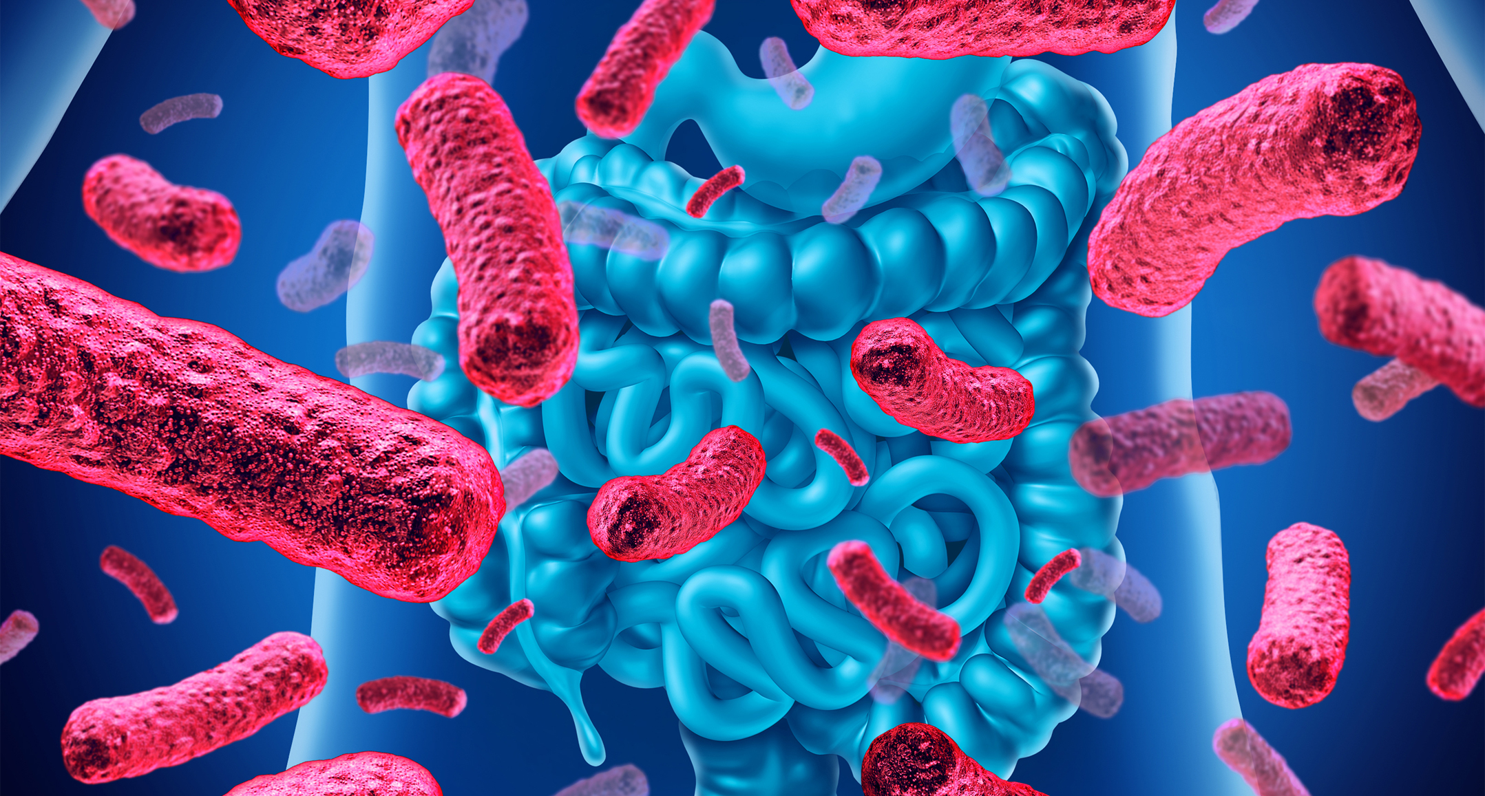 以菌治菌可以治愈哪些疾病,以菌治菌幽门螺旋杆菌