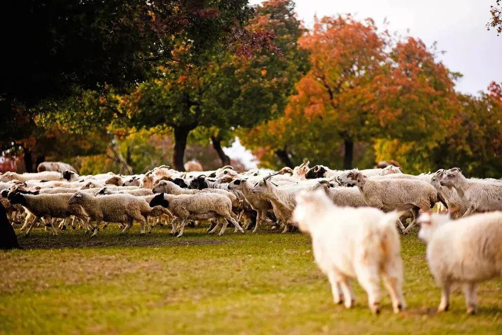 11月适合去旅行的著名风景推荐,10月11月适合旅游的地方
