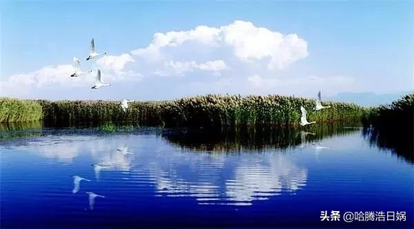 内蒙古十二盟市车牌号首字母含义你知道么?