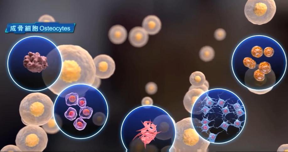 人造子宫实现让人类复活,人类能接受人造子宫吗