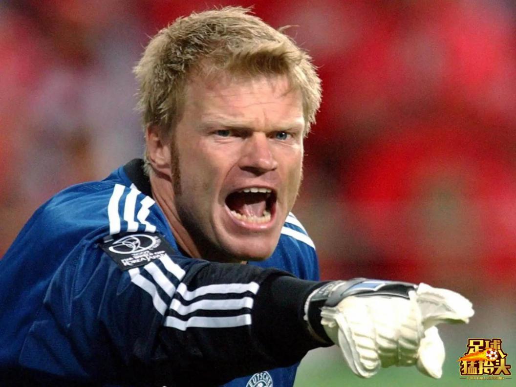 坚韧不拔顽强不屈的狮王,坚韧不拔永不放弃的狮王