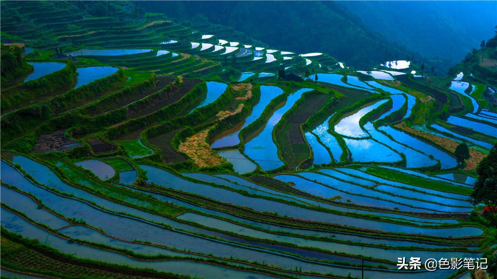 摄影构图画面色彩搭配有技巧,摄影色彩搭配好书推荐