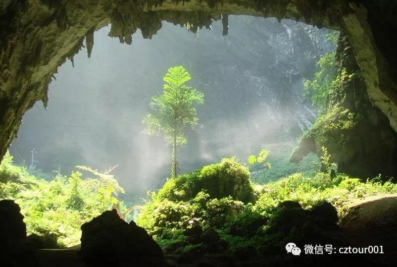 春天去哪里踏青省钱 (春季踏青美食攻略)