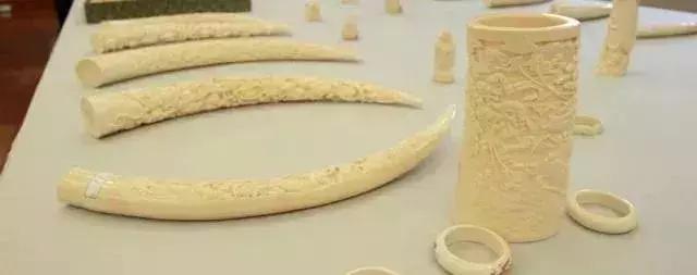 放过大象吧！别再用大象皮车珠子了！