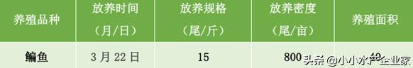 鳊鱼出血病防治,养猪大户郭老板