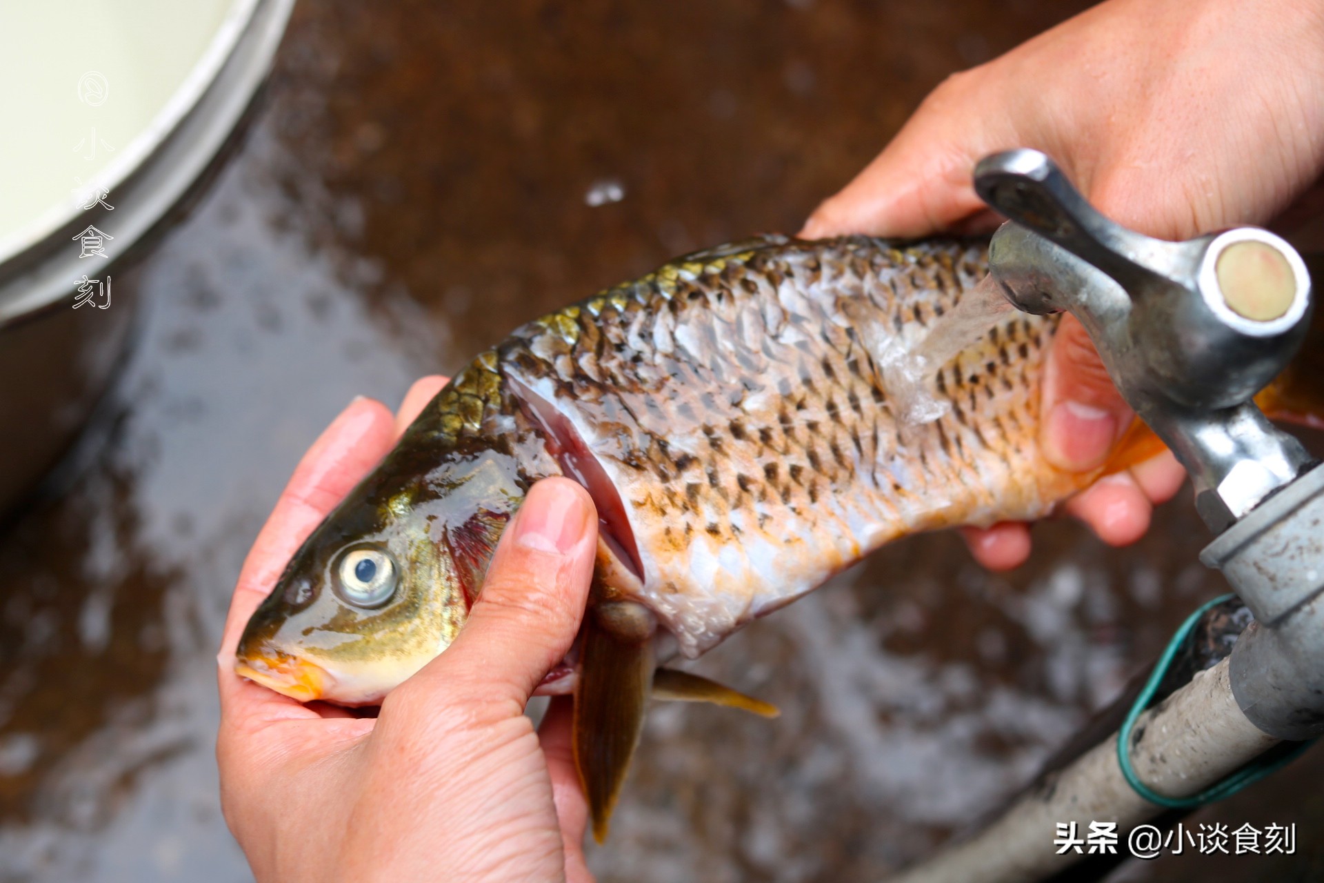 足不出门,在家就能补充营养,一次吃一条,鲜香滑嫩营养不缺失