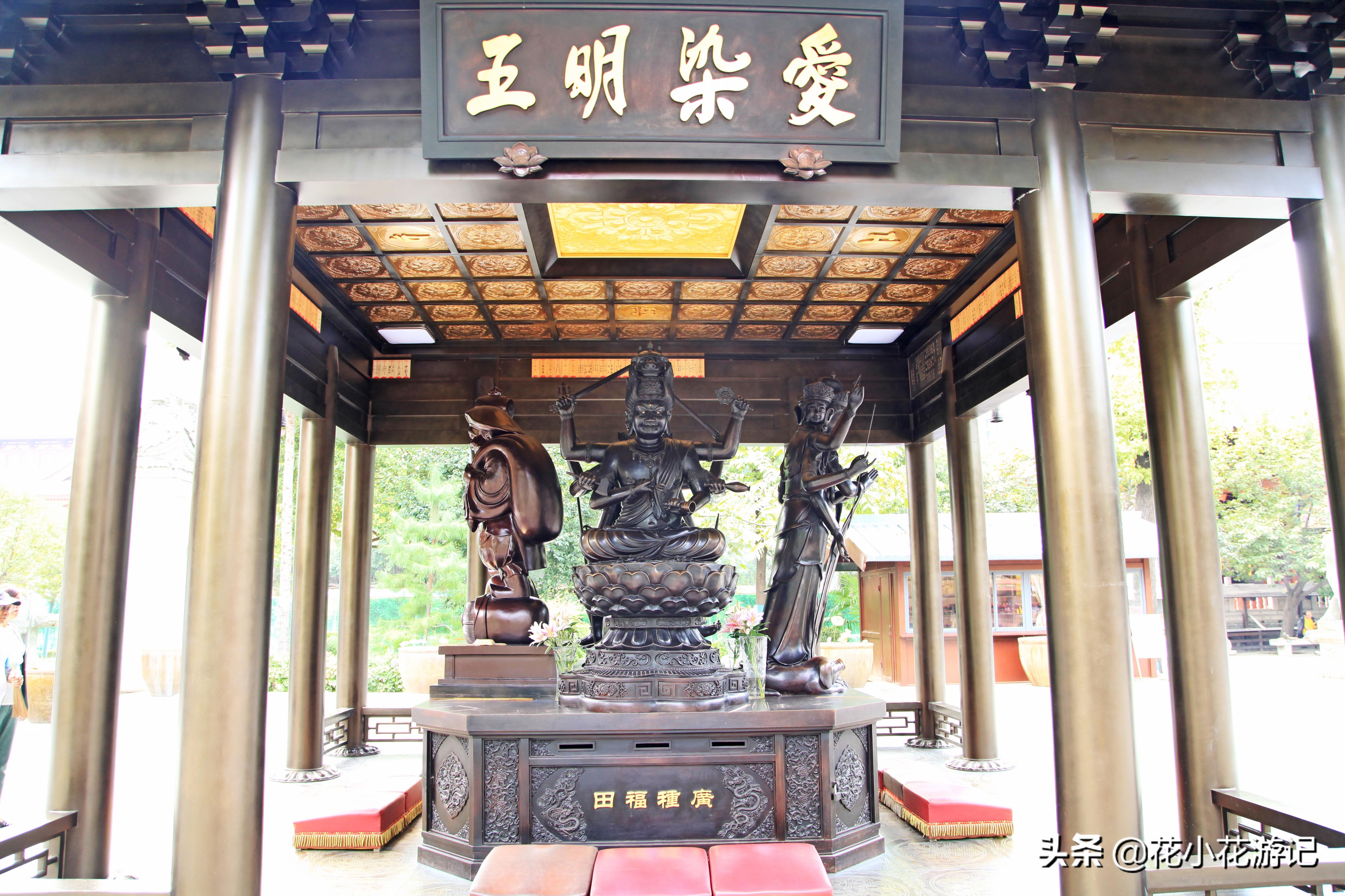 澶у叴鍠勫鐨堜緷娉曚細,澶у叴鍠勫澶ч泟瀹濇绁堢璇电粡