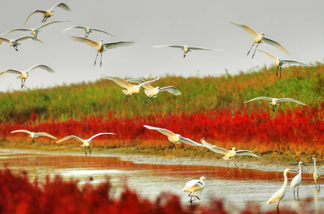 山东这两座小城，集齐了所有令人向往的美景，超级适合自驾！