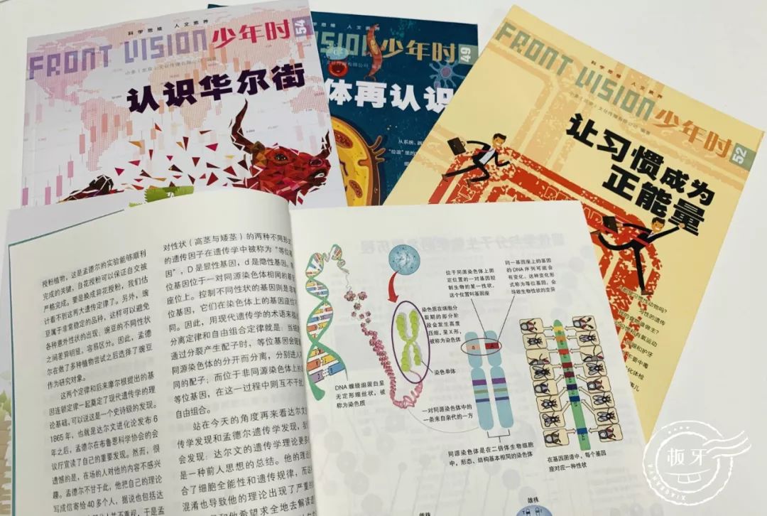 班主任推荐的书目,班主任方面的杂志推荐