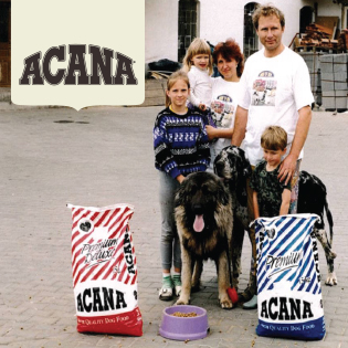 优质猫粮爱肯拿,爱肯拿猫粮怎么买实惠