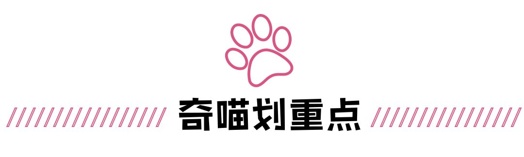 襄阳周末好去处,周末去哪里找乐趣