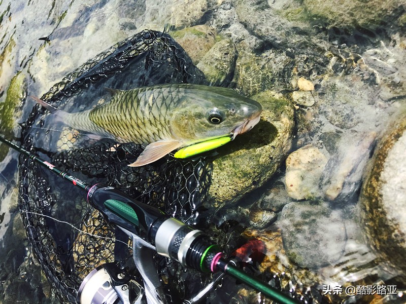 150以内路亚微物ul竿推荐,路亚微物竿200元以内良心竿