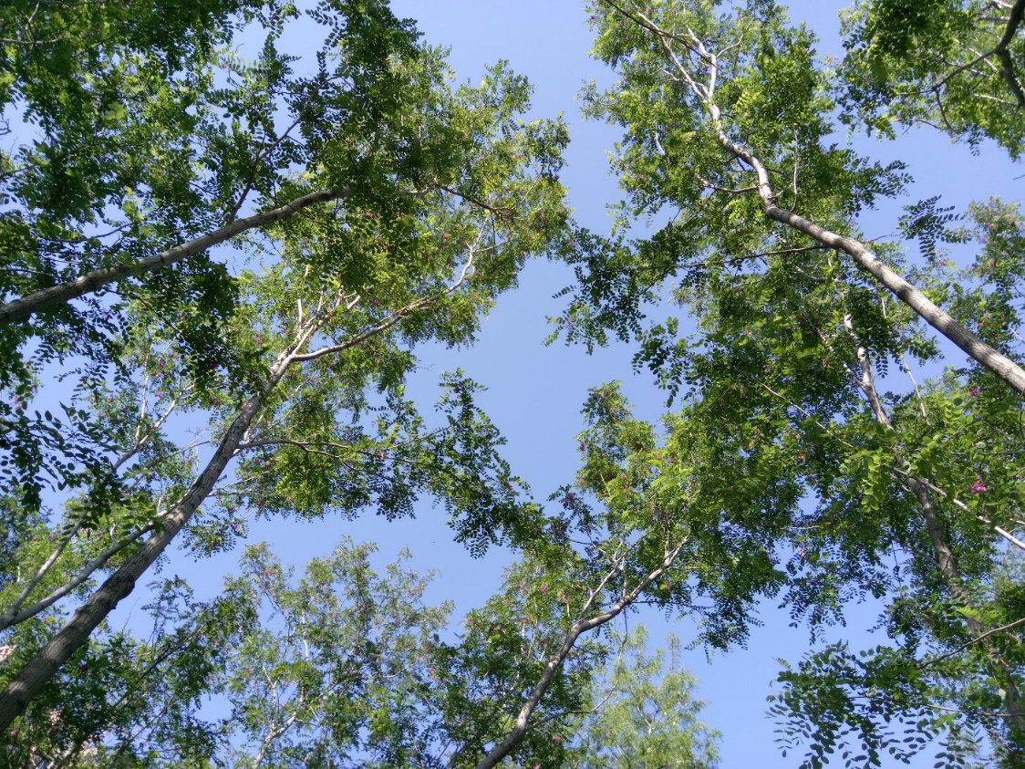 尊宝jamo是什么档次,尊宝和丹麦jbl音箱比较