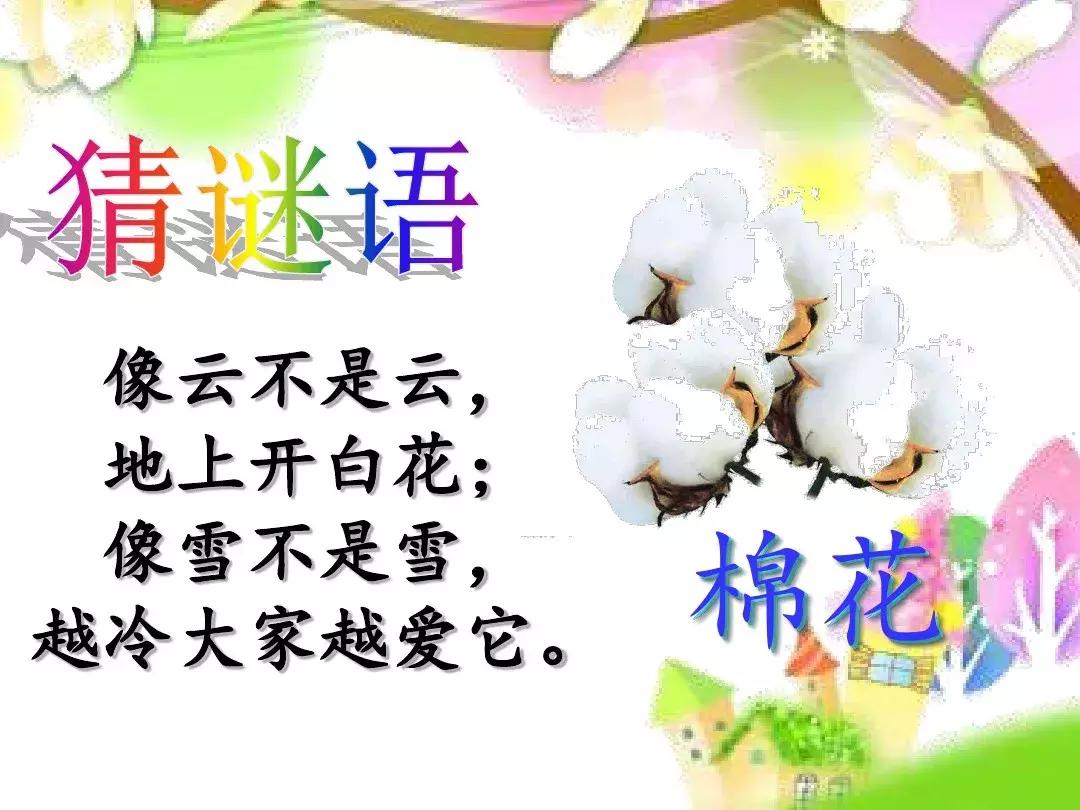 一年级下册语文19课棉花姑娘,一年级棉花姑娘课文笔记