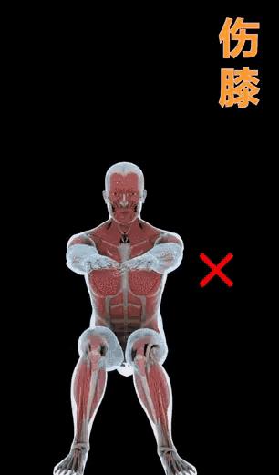 曾梦想仗剑走天涯如今已遍体鳞伤,曾梦想仗剑走天涯后来犯了什么