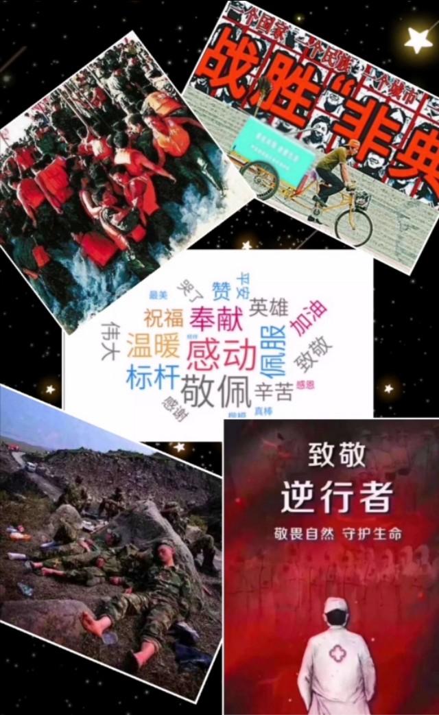 高枫的病毒性肺炎为什么没治好,高枫死于非典么