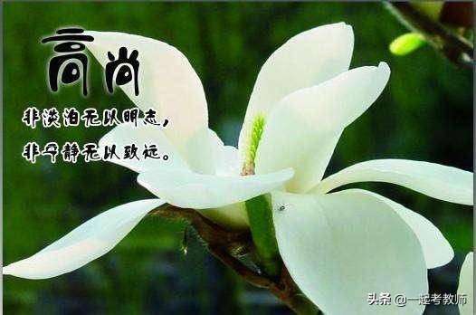 老师治学生的妙招视频,老教师的锦囊妙计