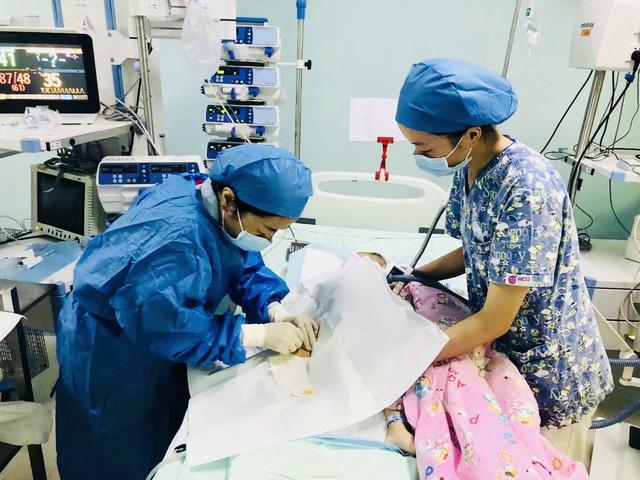 小区300多头狗被毒死,狗在小区被毒死是什么案件