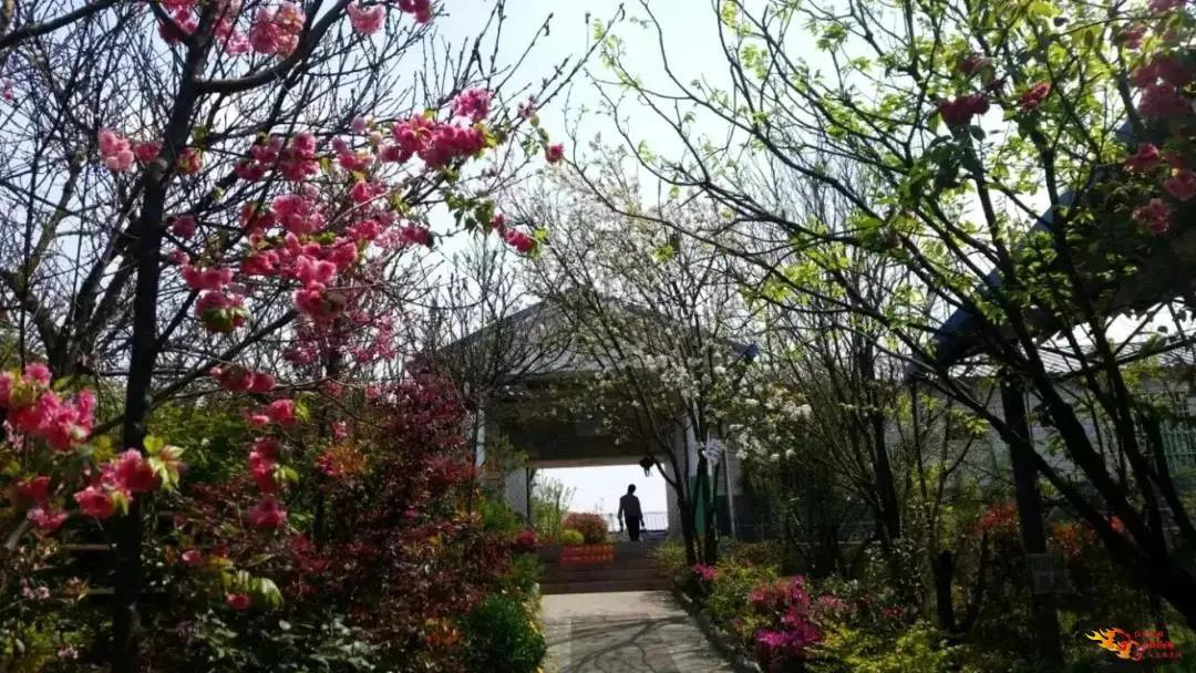 禄丰泡温泉攻略,禄丰恐龙谷温泉旅游攻略