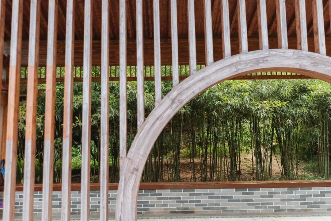 簕竹杜鹃谷公园,好看的杜鹃谷公园