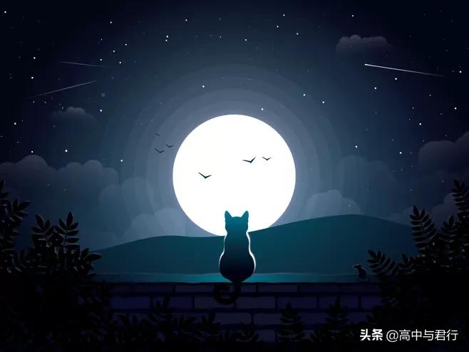 化学复习必背知识点总结,复习到现在啥都不会