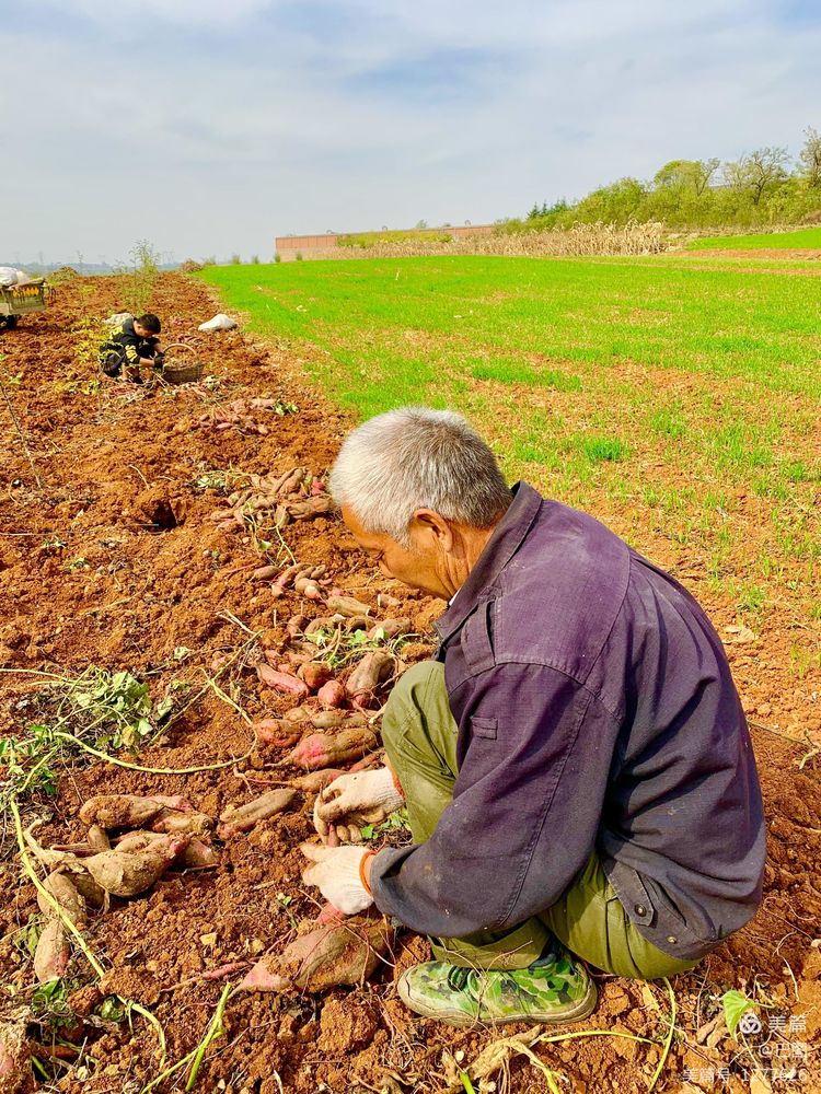 洛阳市宜阳凤凰岭射箭,宜阳县凤凰岭体育基地