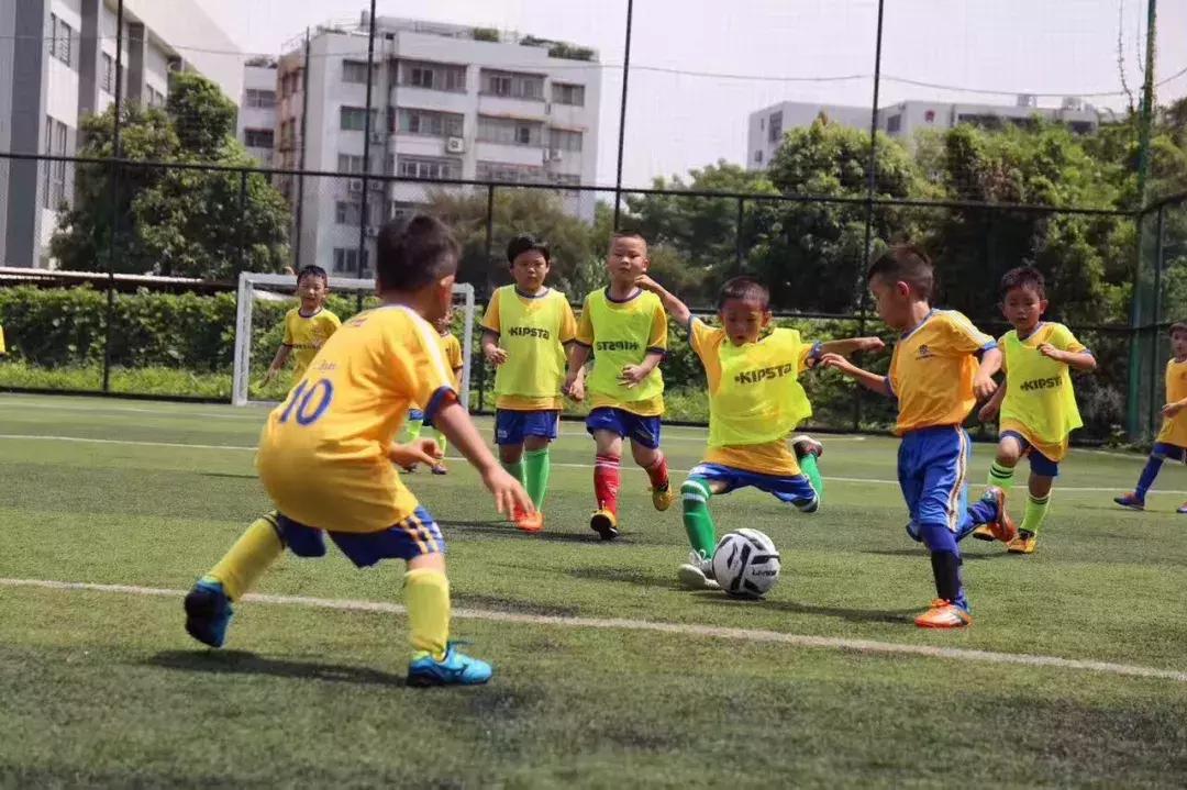 青少儿体育培训机构哪家比较专业,儿童体育培训哪家专业