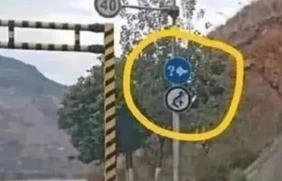 高速新增标线问号加灯泡啥意思,交通标志问号加灯泡是什么意思