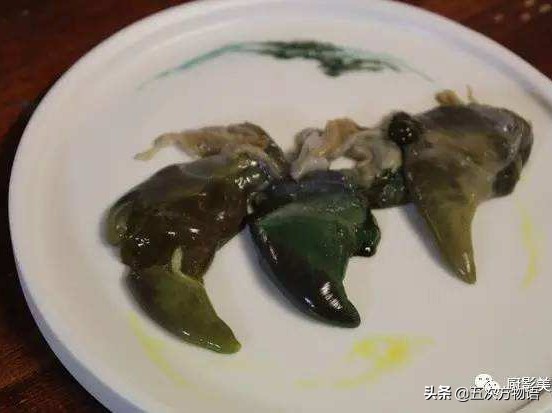 关于鲍鱼的科学知识,鲍鱼的知识和讲解