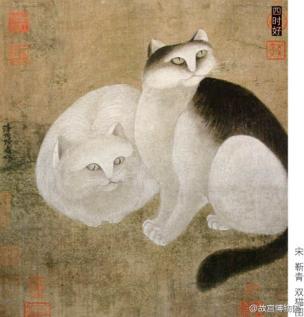 中华田园猫和狸花猫有什么区别,古代中华田园猫排行