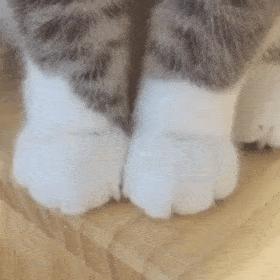 脚臭脚痒脚脱皮脚出汗怎么治疗,脚臭起水泡痒还脱皮怎么治疗